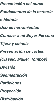 Presentación del curso Fundamentos de la barbería e historia Uso de herramientas Conocer a mi Buyer Persona Tijera y peineta Presentación de cortes: (Classic, Mullet, Tomboy) División Segmentación Particiones Proyección Distribución
