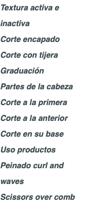 Textura activa e inactiva Corte encapado Corte con tijera Graduación Partes de la cabeza Corte a la primera Corte a la anterior Corte en su base Uso productos Peinado curl and waves Scissors over comb 