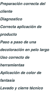 Preparación correcta del cliente Diagnostico Correcta aplicación de producto Paso a paso de una decoloración en pelo largo Uso correcto de herramientas Aplicación de color de fantasía Lavado y cierre técnico