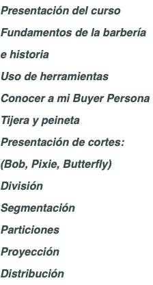 Presentación del curso Fundamentos de la barbería e historia Uso de herramientas Conocer a mi Buyer Persona Tijera y peineta Presentación de cortes: (Bob, Pixie, Butterfly) División Segmentación Particiones Proyección Distribución