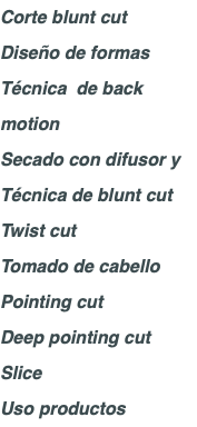 Corte blunt cut Diseño de formas Técnica de back motion Secado con difusor y Técnica de blunt cut Twist cut Tomado de cabello Pointing cut Deep pointing cut Slice Uso productos