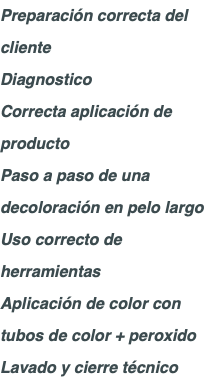 Preparación correcta del cliente Diagnostico Correcta aplicación de producto Paso a paso de una decoloración en pelo largo Uso correcto de herramientas Aplicación de color con tubos de color + peroxido Lavado y cierre técnico